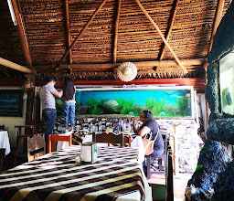 Marisquería Neptuno Sucursal Conzatti photo