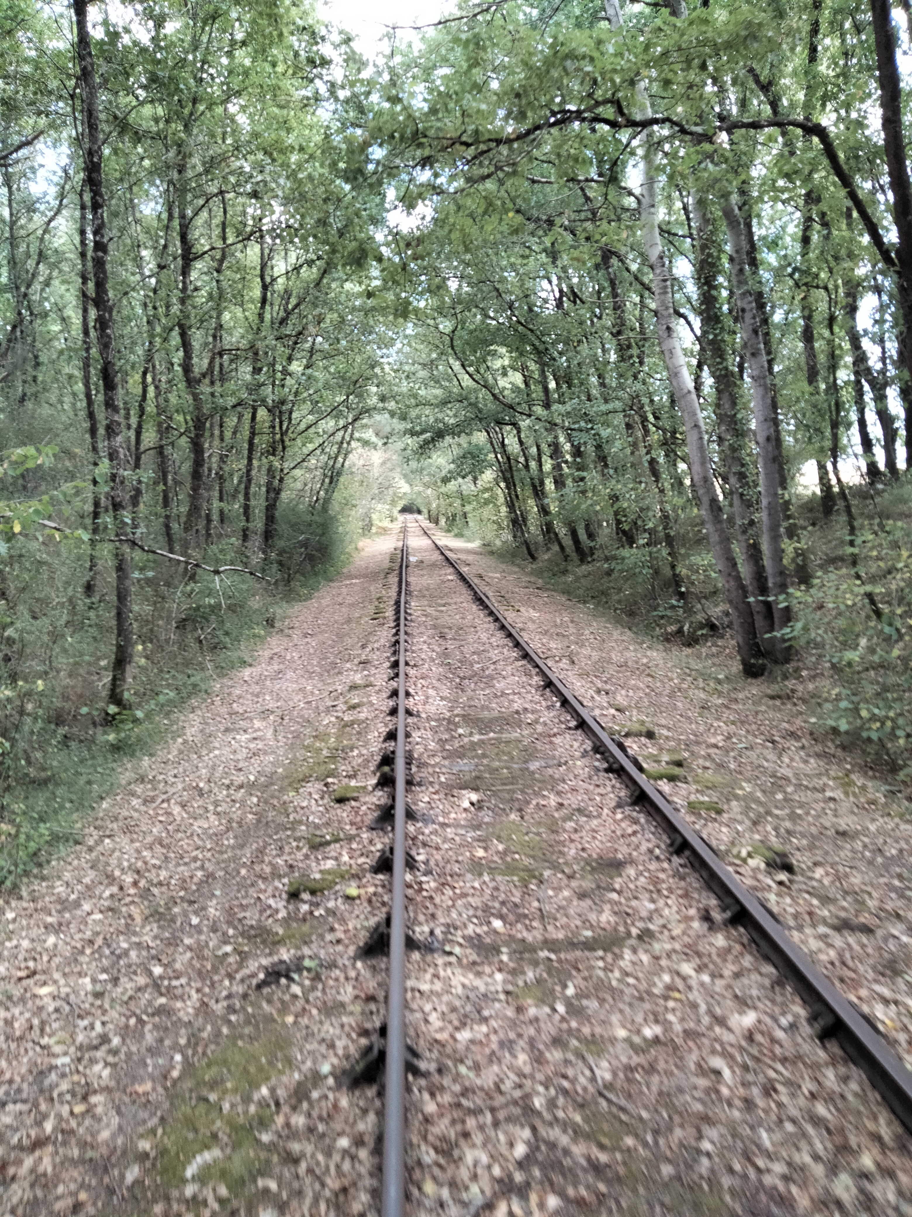 Photo n° 1 de l'avis de Cécile.o fait le 10/09/2023 à 15:03