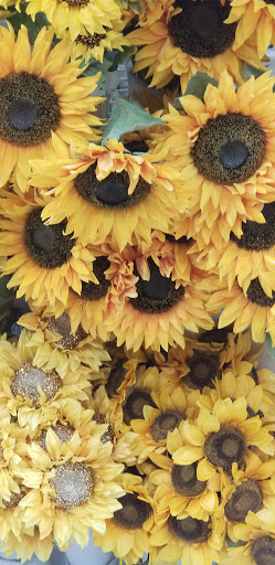 Craft Store «Michaels», reviews and photos, 2540 S Pleasant Valley Rd, Winchester, VA 22601, USA