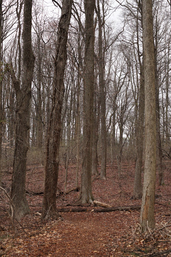 Park «Edison State Park», reviews and photos, 37 Christie St, Edison, NJ 08820, USA