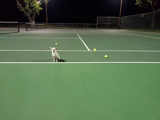 Public Golf Course «Starcke Park Golf Course», reviews and photos, 650 River Dr W, Seguin, TX 78155, USA