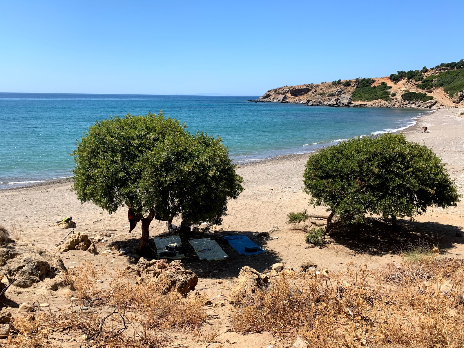 Agia Marina beach的照片 带有碧绿色纯水表面