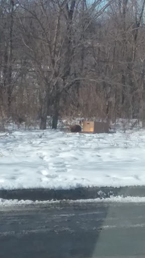 Dollar Store «Dollar Tree», reviews and photos, 2604 2nd Ave #1, Muscatine, IA 52761, USA