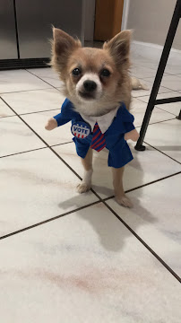 Pawriffic pets
