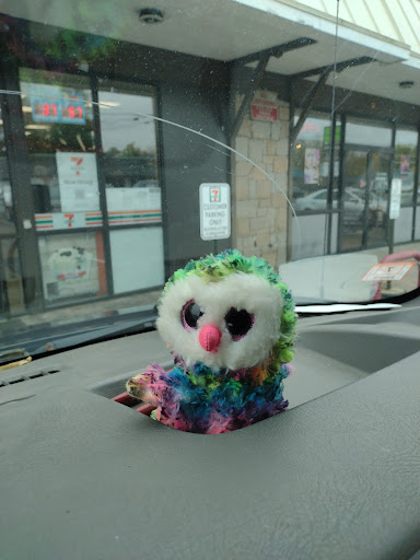 Pets World, 147 Bridge St, Weymouth, MA 02191, USA, 