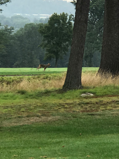 Golf Club «Montclair Golf Club.», reviews and photos, 25 Prospect Ave, West Orange, NJ 07052, USA