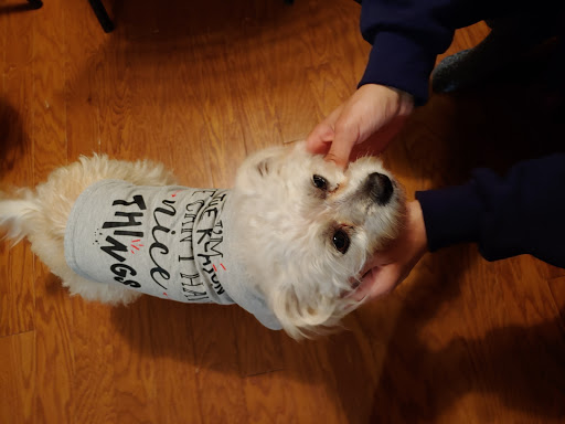 Pet Supply Store «Petco Animal Supplies», reviews and photos, 298 Spring Creek Drive, Franklin, TN 37067, USA