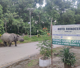 Hotel Rhinoceros-Homestay photo