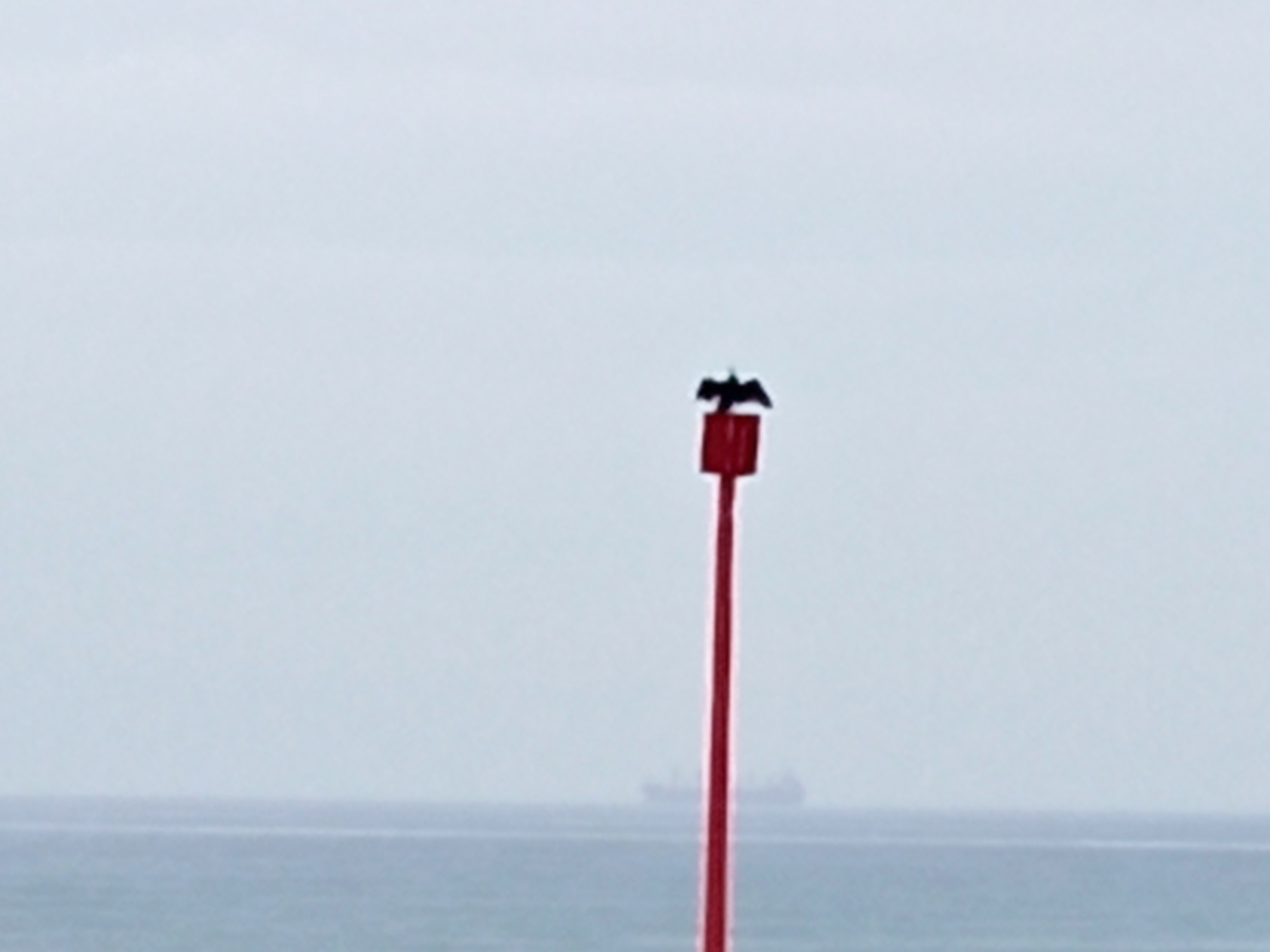 Photo n° 5 de l'avis de Chris.s fait le 03/06/2021 à 10:42