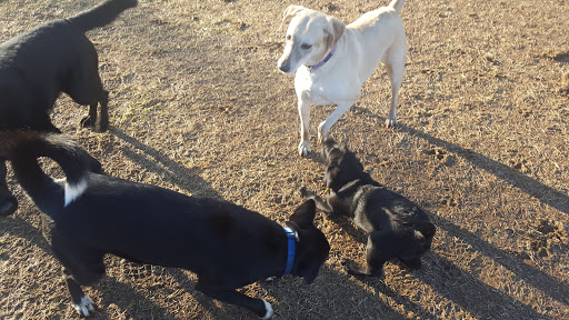 Park «Teegarden Park», reviews and photos, 440 Old State Rd, Berwyn, PA 19312, USA