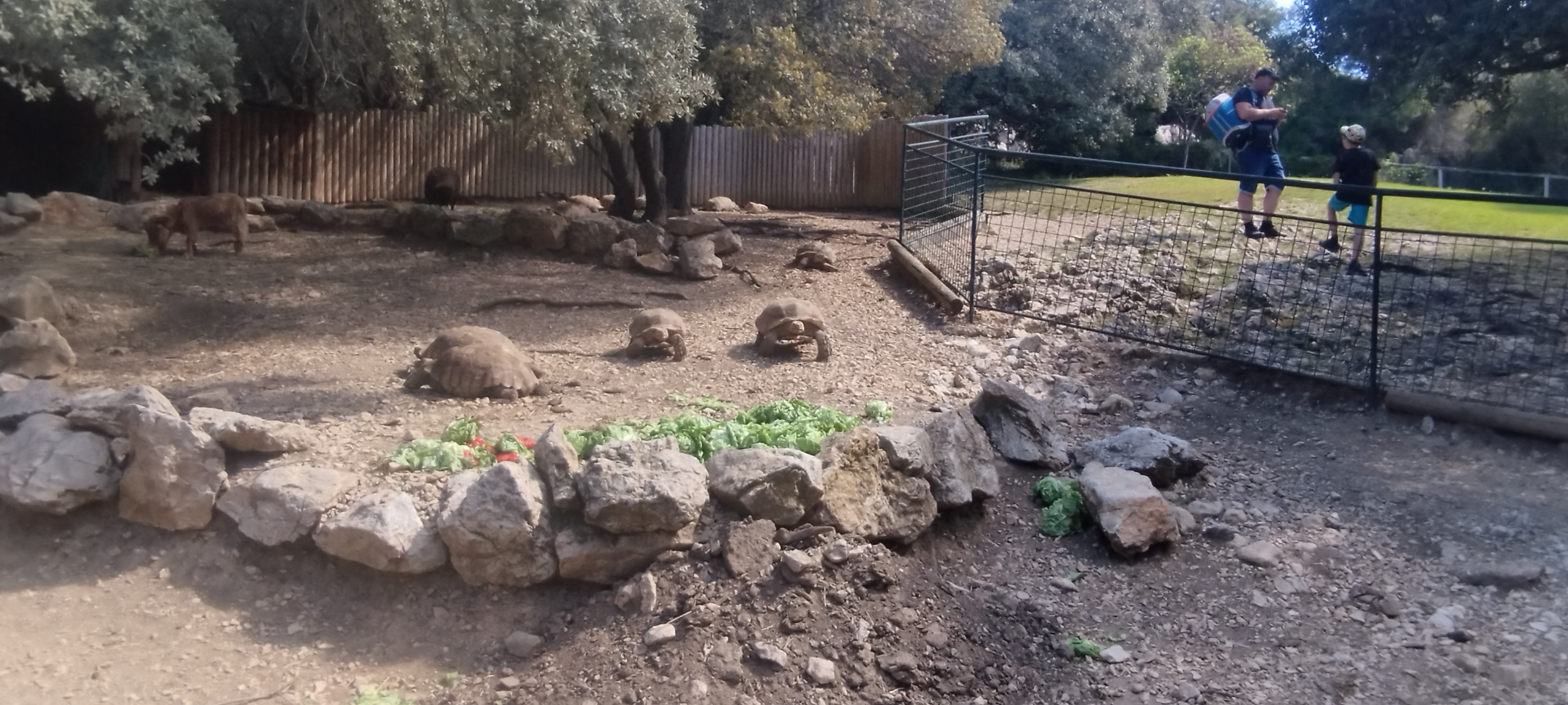 Photo n° 11 de l'avis de ludovic.a fait le 08/05/2023 à 17:03