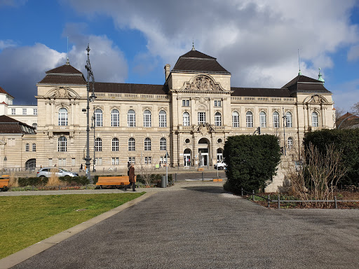 Colegios internacionales de Mannheim 