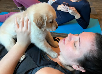 Puppy Love Yoga
