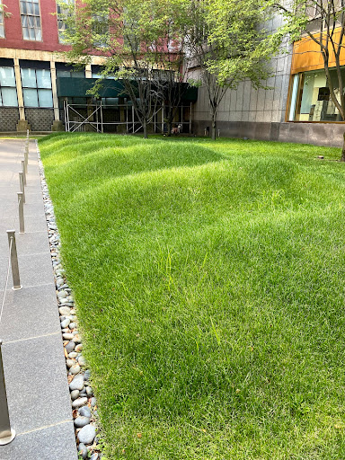 Monument «African Burial Ground National Monument», reviews and photos, 290 Broadway, New York, NY 10007, USA