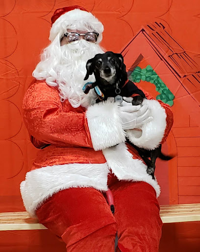 Pet Supply Store «PetSmart», reviews and photos, 1836 Joe Battle Blvd, El Paso, TX 79936, USA