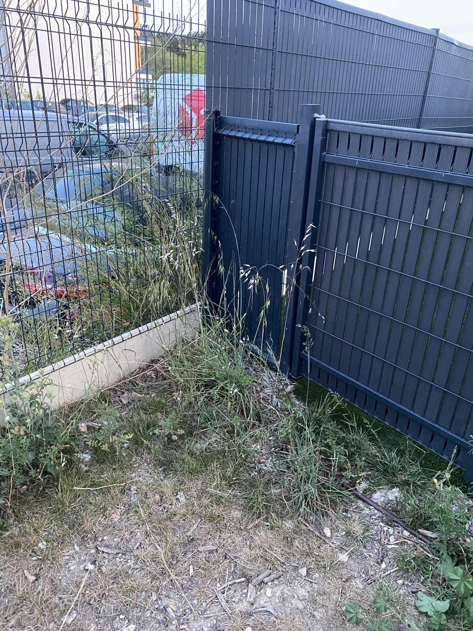 Photo n° 1 de l'avis de RAPHAEL.N fait le 11/05/2023 à 15:58