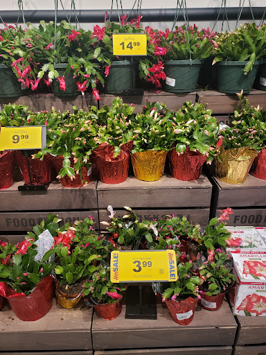 Grocery Store «Food Lion», reviews and photos, 2960 Marshall Hall Rd, Bryans Road, MD 20616, USA