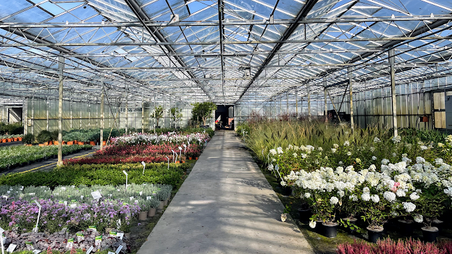 Greenhouse Nurseries