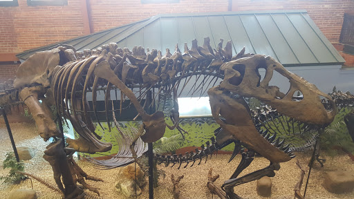 Museum «Museum of World Treasures», reviews and photos, 835 E 1st St N, Wichita, KS 67202, USA