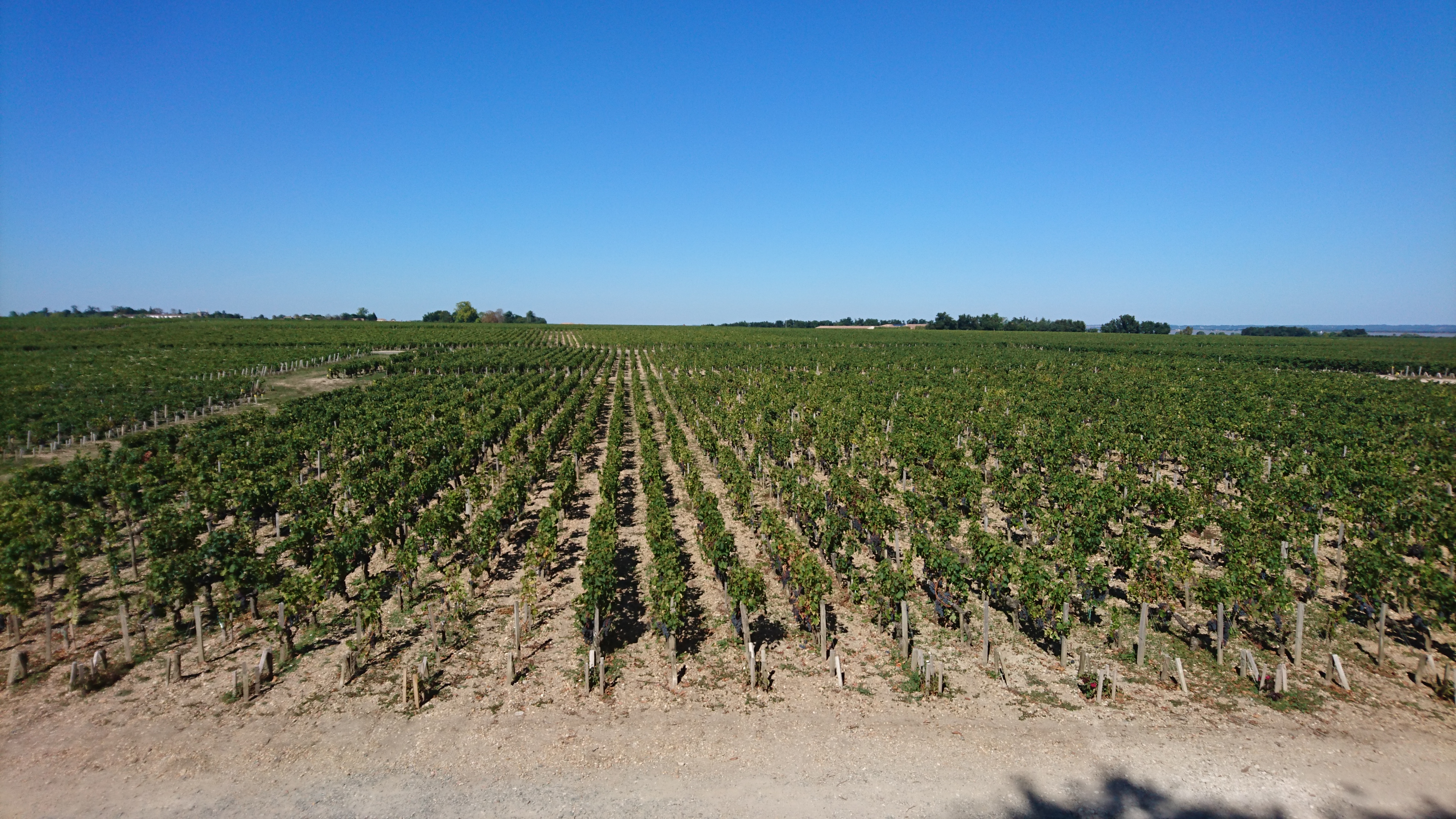 Photo n° 2 de l'avis de Fabrice.r fait le 15/09/2018 à 15:13