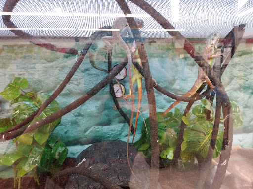 Pet Supply Store «Petco Animal Supplies», reviews and photos, G3559 Miller Rd, Flint, MI 48507, USA