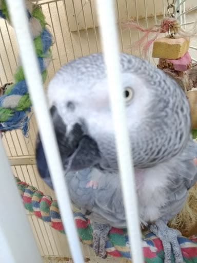 Pet Store «Tropic Waters», reviews and photos, 3015 E Hamilton Ave, Eau Claire, WI 54701, USA