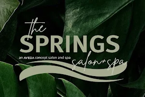 The Springs Salon and Spa image