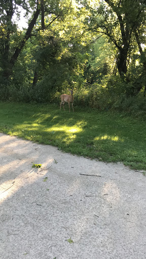 Used Car Dealer «Houdek Auto Center», reviews and photos, 150 7th Ave, Marion, IA 52302, USA