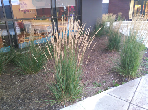 Movie Theater «Cinemark River Valley Mall and XD», reviews and photos, 1611 River Valley Cir S, Lancaster, OH 43130, USA