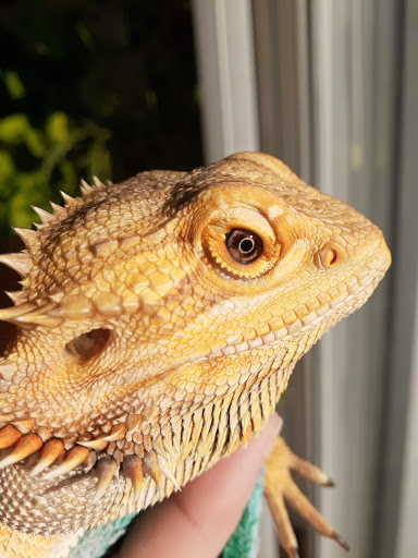 Pet Supply Store «Pet Supplies Plus», reviews and photos, 1810 Declaration Dr, Independence, KY 41051, USA