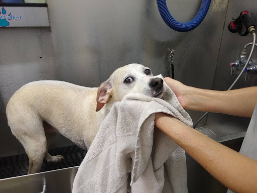 Pet Supply Store «Pet Supplies Plus», reviews and photos, 1519 Lititz Pike, Lancaster, PA 17601, USA