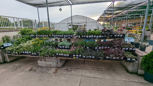 Grocery Store «Meijer», reviews and photos, 10138 Indianapolis Blvd, Highland, IN 46322, USA