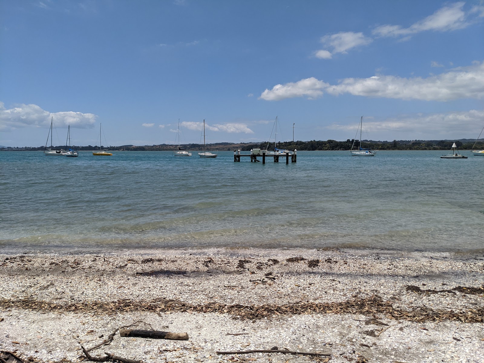 Shelly Park Beach的照片 带有碧绿色纯水表面