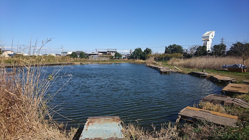 まこも池緑地