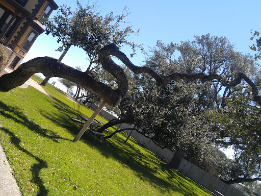 History Museum «Fulton Mansion State Historic Site», reviews and photos, 317 Fulton Beach Rd, Rockport, TX 78382, USA