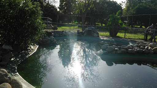 Park «Montebello Barnyard Zoo», reviews and photos, 600 Rea Dr, Montebello, CA 90640, USA