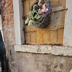 Photo n°1 de l'avis de Stella. fait le 29/09/2023 à 11:28 sur le  Trattoria Cea à Venice