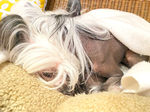 Movie Theater «Park Plaza Cinema», reviews and photos, 33 Office Park Rd #201, Hilton Head Island, SC 29928, USA