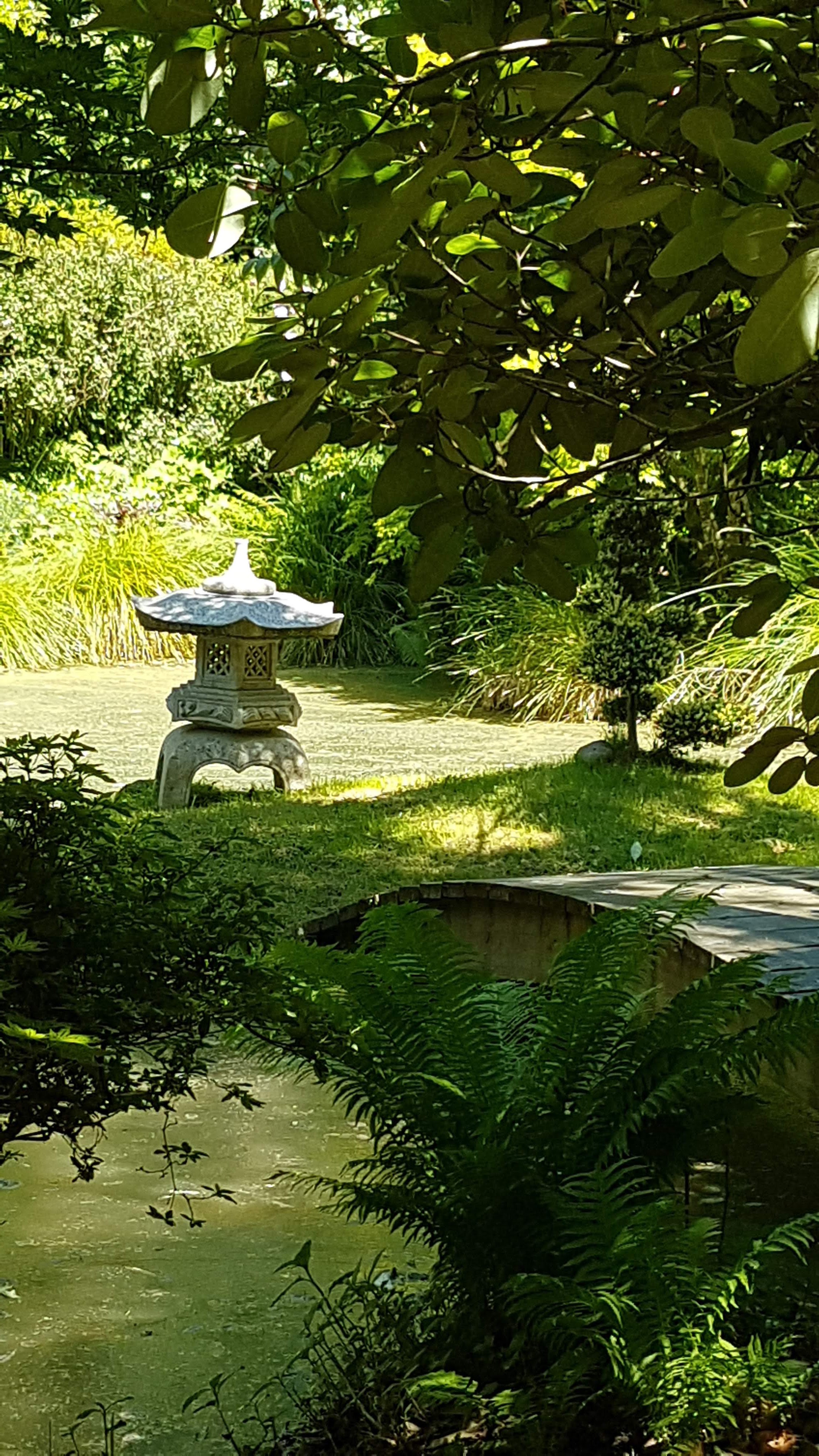 Photo n° 7 de l'avis de Daniel.r fait le 29/05/2020 à 14:41