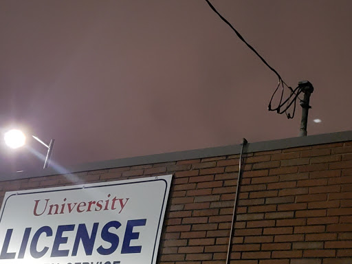 Auto Tag Agency «University License Agency», reviews and photos