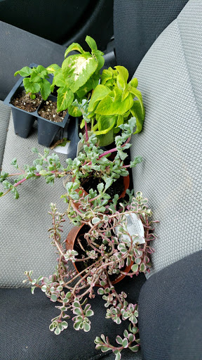 Hardware Store «Westlake Ace Hardware 004», reviews and photos, 1614 N Green St, Kirksville, MO 63501, USA