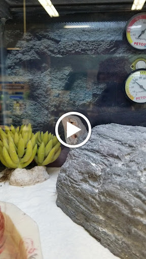 Pet Supply Store «Petco Animal Supplies», reviews and photos, 1298 W Granada Blvd #100, Ormond Beach, FL 32174, USA
