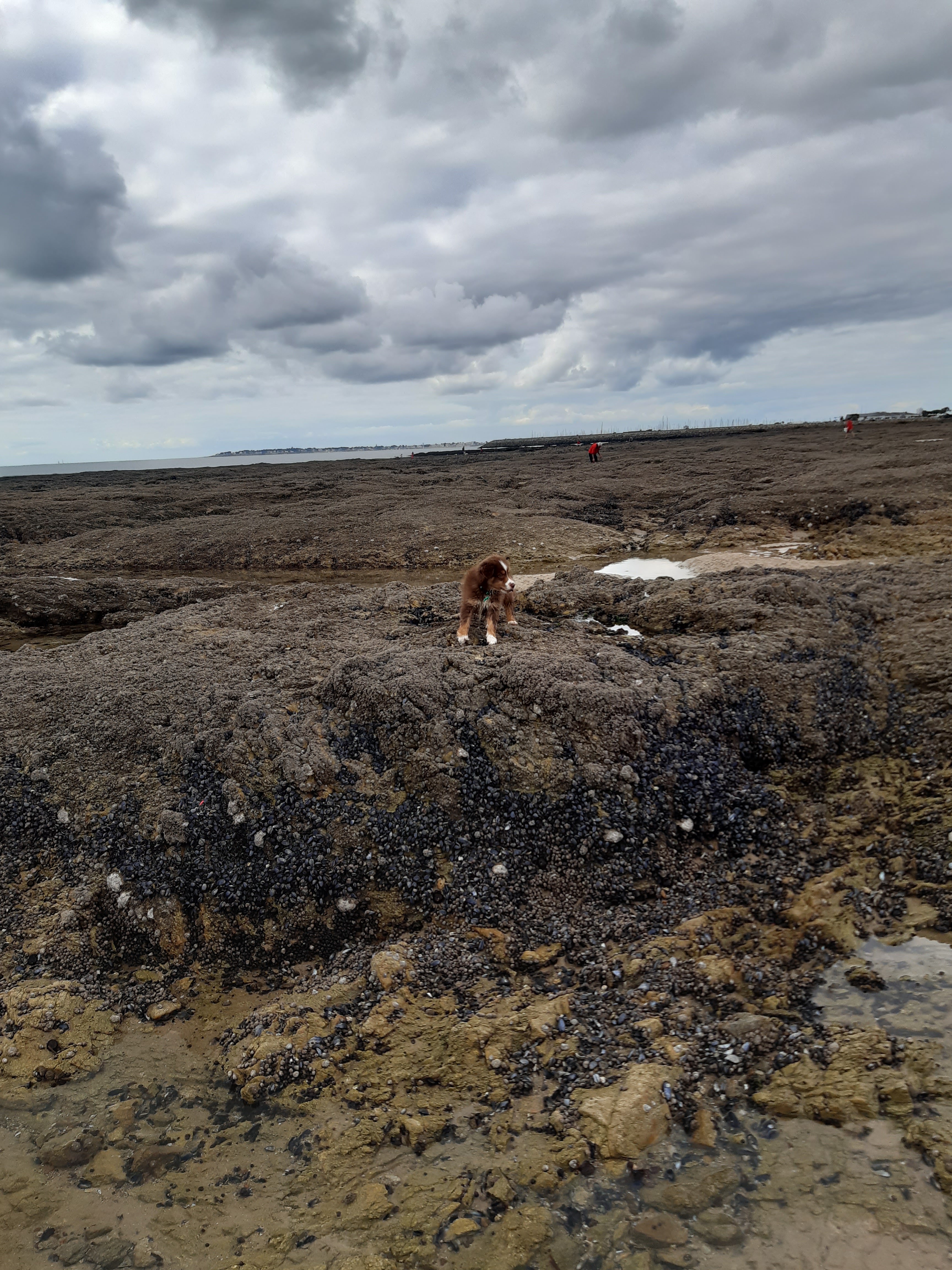 Photo n° 1 de l'avis de David.u fait le 28/12/2019 à 15:31