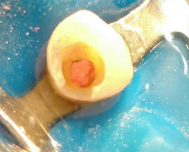 Clínica Dental Oralmed - Dentista
