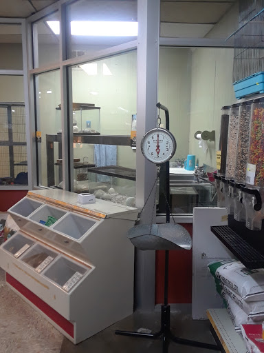 Pet Store «Southside Pet Shop», reviews and photos, 7031 Southside Dr, Louisville, KY 40214, USA