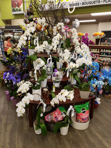 Grocery Store «Vons», reviews and photos, 7135 El Camino Real, Atascadero, CA 93422, USA