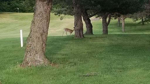 Golf Course «Bristol Ridge Golf Course», reviews and photos, 1978 Co Hwy C, Somerset, WI 54025, USA