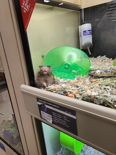 Pet Supply Store «PetSmart», reviews and photos, 60 NJ-17, Paramus, NJ 07652, USA