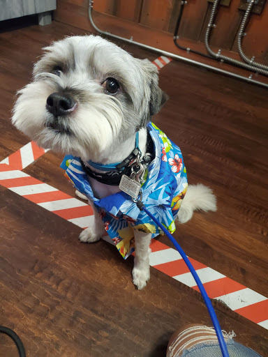 Pet Supply Store «EarthWise Pet Supply East Village», reviews and photos, 1051 Market St, San Diego, CA 92101, USA