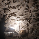 Photo n°7 de l'avis de Luca.i fait le 21/08/2021 à 21:12 sur le  Osteria O' Pizzaiuolo - Le Segrete del '700 à Isernia